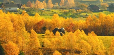 브라쇼브 (Brasov)의 루마니아 정통 산 마을에서 소그룹 당일 치기 여행