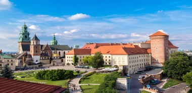 Kraká: Wawel kastali og dómkirkja leiðsögð ferð