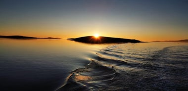 Clew Bay Cruise, Westport (90 minuti)