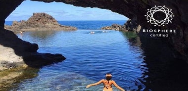 Recorrido de día completo en vehículo todoterreno descapotable por las piscinas de lava de Porto Moniz y la plataforma de observación