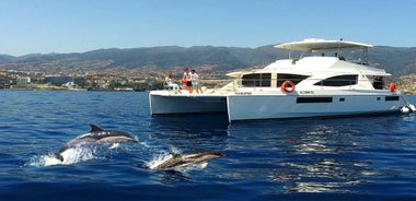 All Inclusive Whale and Dolphin Watching Luxury Tour