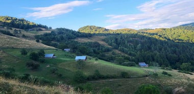 Sibiu: Cindrel Mountains Hike with Traditional Brunch