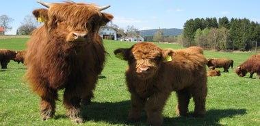 Leyndardómur Loch Ness, Inverness, Culloden, Cawdor kastali frá höfn