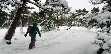 Escursione invernale dell'arcipelago