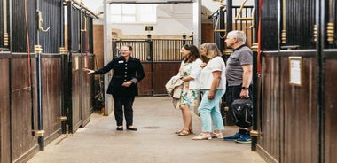 Vienna Spanish Riding School Guided Tour