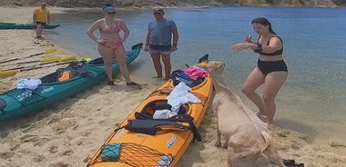 Kayak de mer aux îles Drenia