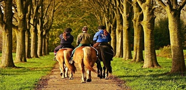 ウンブリア州、ウンブリアの田園地帯での乗馬とランチ