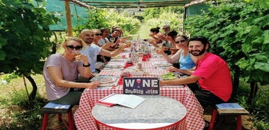 Geführte E-Bike-Tour mit Weinprobe ab Lucca