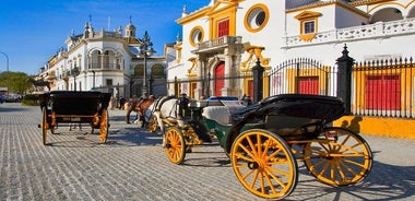 Sevilla og Alcazar sleppa röðinni frá höfn í Cadiz (aðeins skemmtisiglingar)