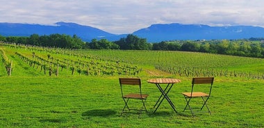 Unkonventionelle Prosecco-Verkostung mit atemberaubendem Blick auf die Weinberge