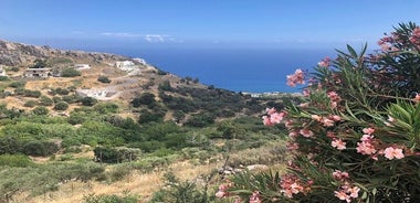 Road trip d'une journée des montagnes du Nord aux plages du Sud