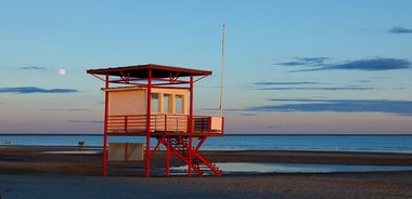 魅惑的なパルヌ: 時間と潮の流れを巡る旅