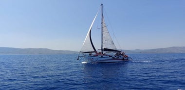 Excursion en bateau d'une journée complète en Grèce avec nourriture et boissons