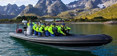 从 Svolvær 到 Trollfjorden 的 Sea Eagle Safari