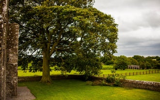 Bective Abbey