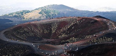 エトナ山とワイナリーのプライベートツアー、タオルミーナからの食事とワインの試飲付き