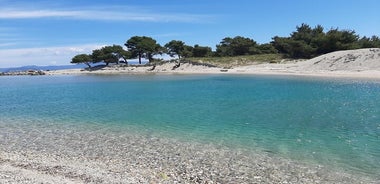 Tour dell'isola di Kassandra di un'intera giornata da Kriopighi con picnic