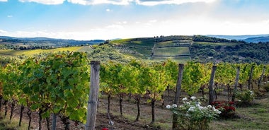 Aperçu du Chianti : fromage toscan et vin et déjeuner de Florence