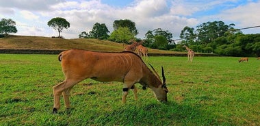 カバルセノ自然公園訪問