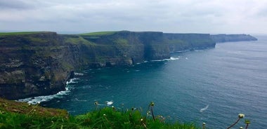 Visite à la journée des falaises de Moher, de la côte du comté de Clare et du Burren au départ de Galway