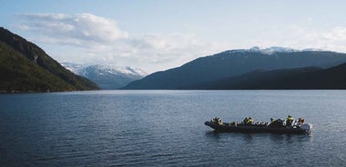 Ulvik: Hardangerfjörður Ótrúleg RIB Safarí