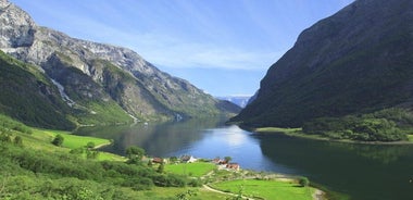 Viaje privado de ida y vuelta de día completo desde Oslo a Sognefjord a través del ferrocarril de Flåm