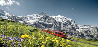 Frá Interlaken: Dagsferð til Jungfraujoch með rútu og lest