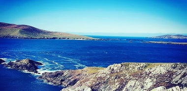 Tour privato di quattro ore della penisola di Dingle