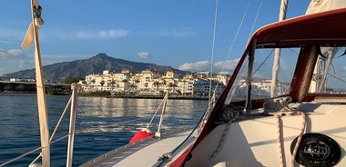 Aventure en voile : voile, dauphins et détente avec des boissons