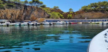 Marseille: Bátasigling um Calanques Côte Bleue sjávarlífsgarðinn