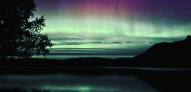 Harstad/Narvik/Tjeldsund: Northern Lights Sightseeing by Car