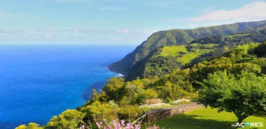 São Miguel: Heilsdags ferð til Nordeste & Fossferð með hádegisverði