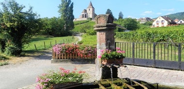 Les Emblématiques: visite de villages, du Haut-Koenigsbourg, Dégustation de vins