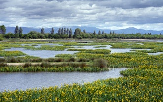 Photo of aerial view of beautiful landscape of Zaragoza, Spain.