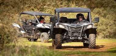 Porto Buggy Adventure: Visita guiada a las ruinas y al pueblo típico