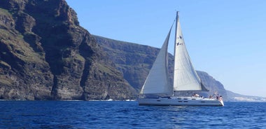 Tenerife: Los Gigantes Whale Watching Cruise by Sail Boat