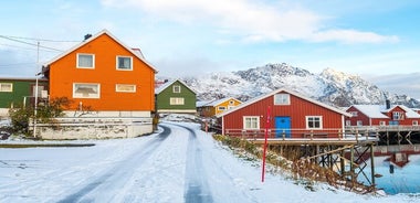 Tour guiado de invierno de las islas Lofoten