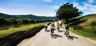 Tour della valle vinicola di Wachau in bicicletta con degustazione e partenza da Vienna