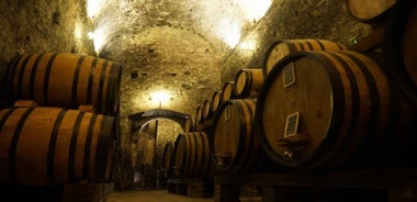 Montepulciano: Wine Tasting and Cellar Tour