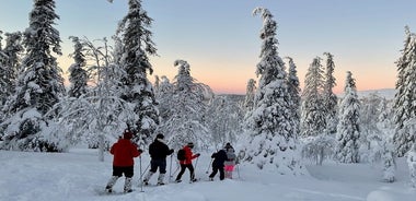 Levi: Snowshoeing adventure in the National Park