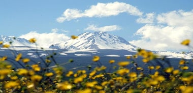 그룹 투어: Amberd, Aragats, Kari 호수, Saghmosavank, Alphabet