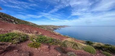 Hálfs dags einkagönguferðir með leiðsögn á Menorca