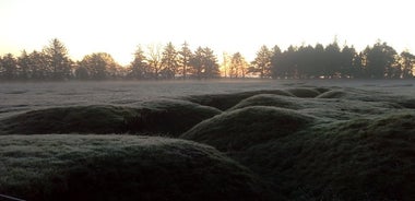 Full day Private Australian Battlefields Tour from Amiens