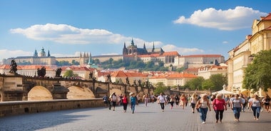 Múnich a Praga: traslado privado puerta a puerta, conductor local de habla inglesa