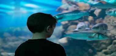 Billet pour l'aquarium de Corfou avec visite incluse