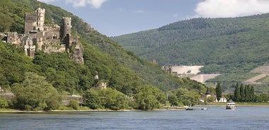 Gita nella Valle del Reno da Francoforte, crociera sul Reno inclusa