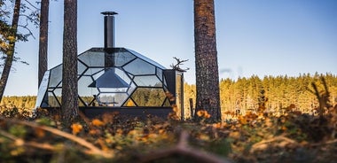 Cena dell'aurora boreale in un igloo di vetro