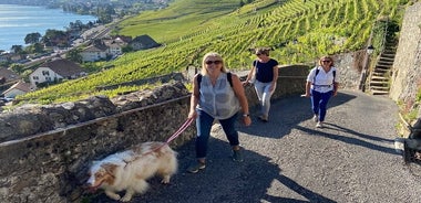 Vine Stories: Lavaux & Lutry wine walk