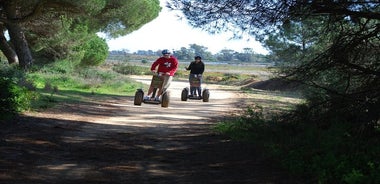 Tour di birdwatching in Segway al parco naturale Ria Formosa con partenza da Faro