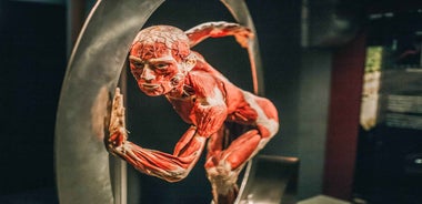 Heidelberg: BODY WORLDS Museum Entry Ticket